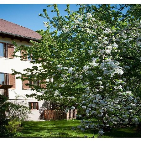 Apartments Himmelreich Ternitz Exterior photo