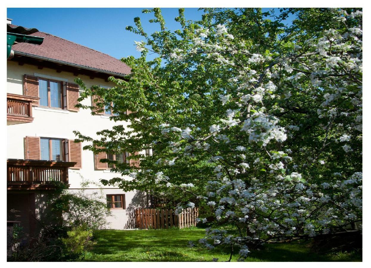 Apartments Himmelreich Ternitz Exterior photo